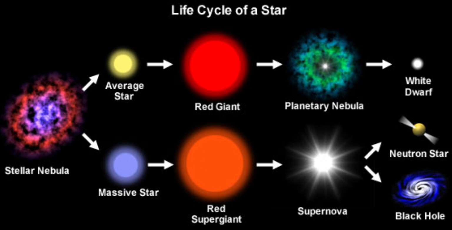 Life Cycle of a Star | Step by Step (White Dwarfs, Supernovae, Neutron ...